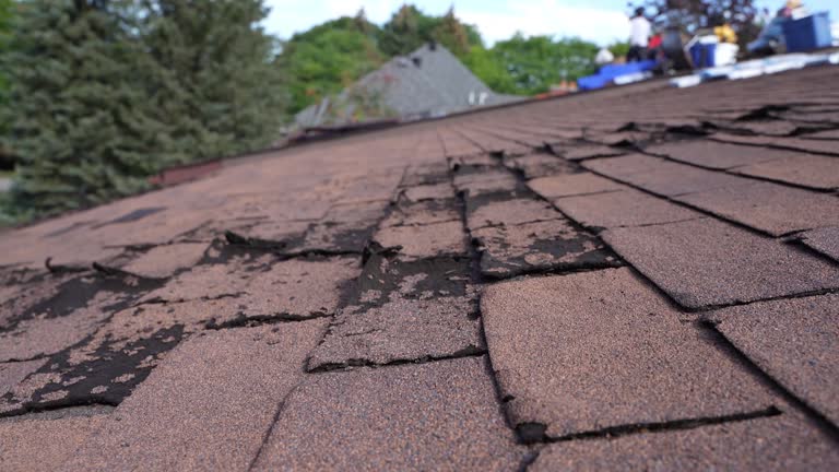 Professional Roofing Service in Inglewood, CA