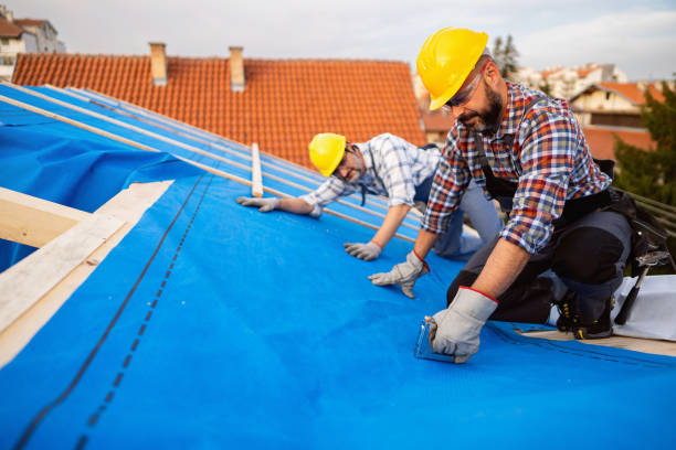 Steel Roofing in Inglewood, CA