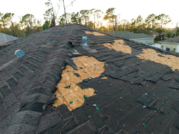 Best Cold Roofs  in Inglewood, CA